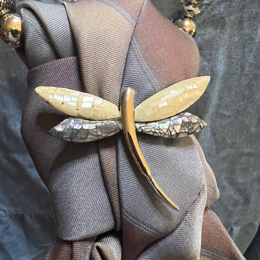Chic Dragonfly Brooch with Shimmering Wings